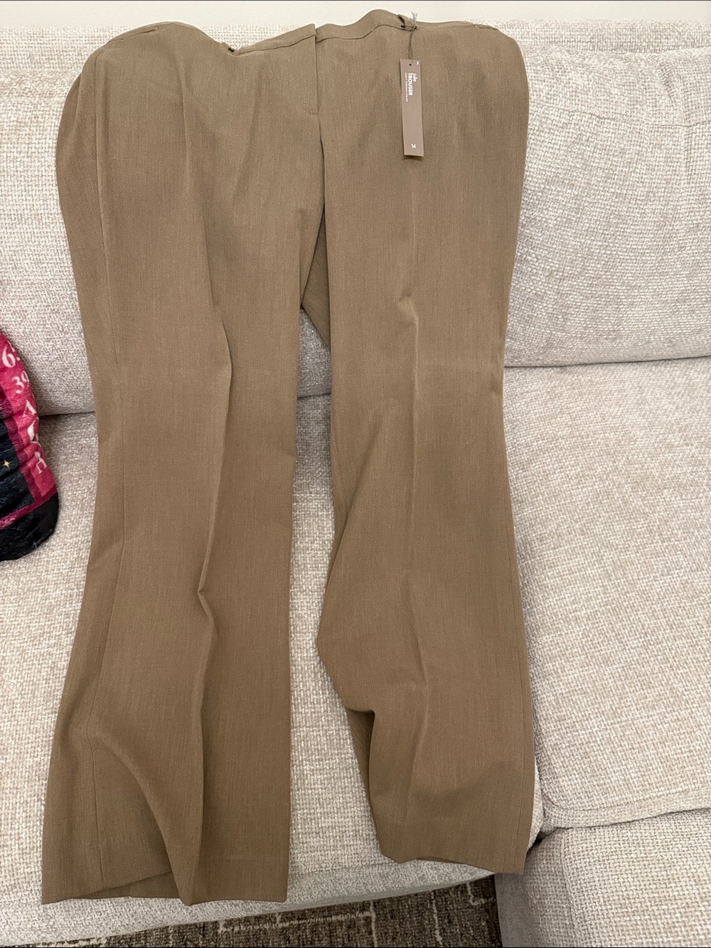 LOFT Boot-Cut Dress Pants in Brown